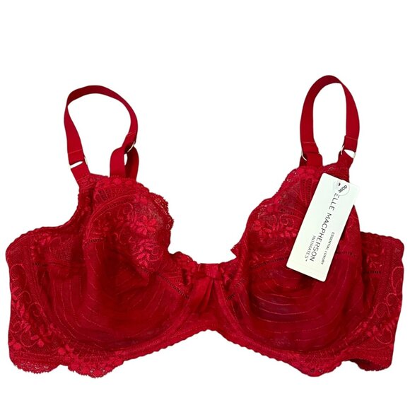 Elle Macpherson Desert Heat Lipstick Red Lace Underwire Bra 36DD Luxury Lingerie - Picture 1 of 3